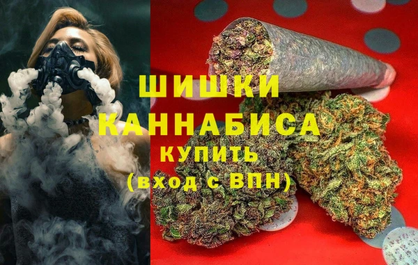 шишки Армянск