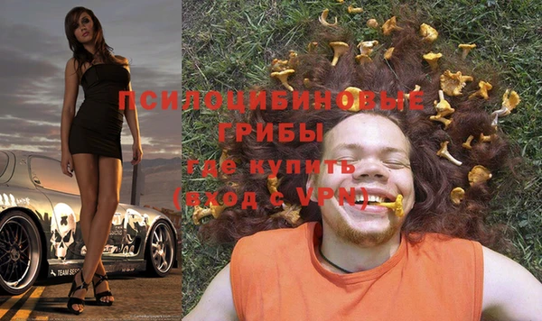 шишки Армянск