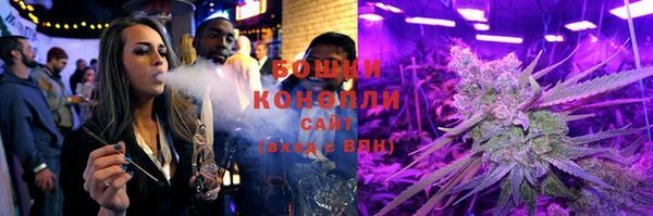 шишки Армянск