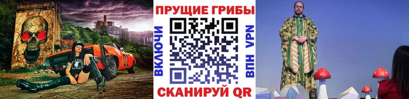 Купить где  Дивногорск  Галлюциногенные грибы мухоморы 